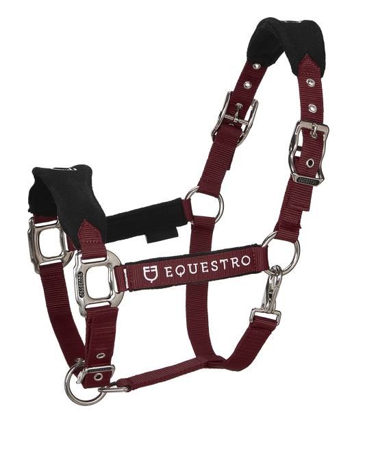 Equestro halter and longhina